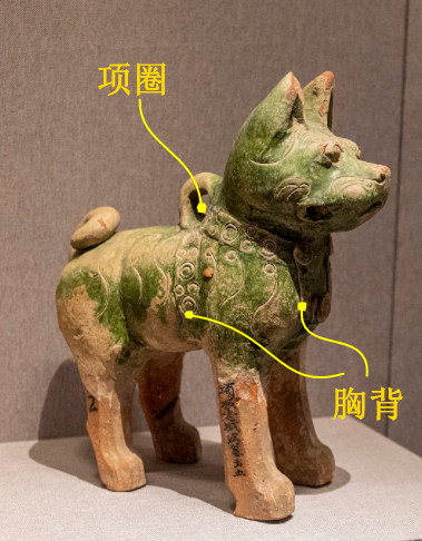 在河南博物館，古人申請和你交換一張小狗照片