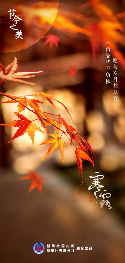 節(jié)令之美｜8日3時00分寒露：開門忽驚嘆，秋色已如許