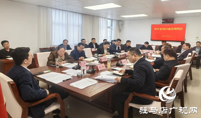 西平縣召開項目建設推進會