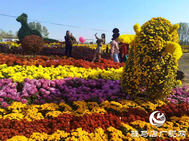 驛城區(qū)攝影家協(xié)會到諸市鎮(zhèn)開展采風(fēng)活動