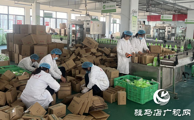 駐馬店：電商企業(yè)發(fā)力“雙11” 激發(fā)市場(chǎng)消費(fèi)活力