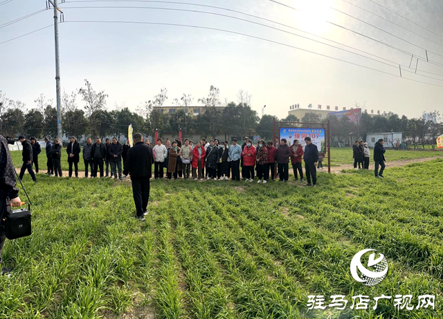 正陽(yáng)縣組織高素質(zhì)農(nóng)民赴噸源種業(yè)觀(guān)摩學(xué)習(xí)