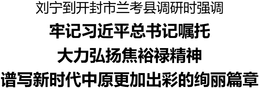 劉寧到開(kāi)封市蘭考縣調(diào)研