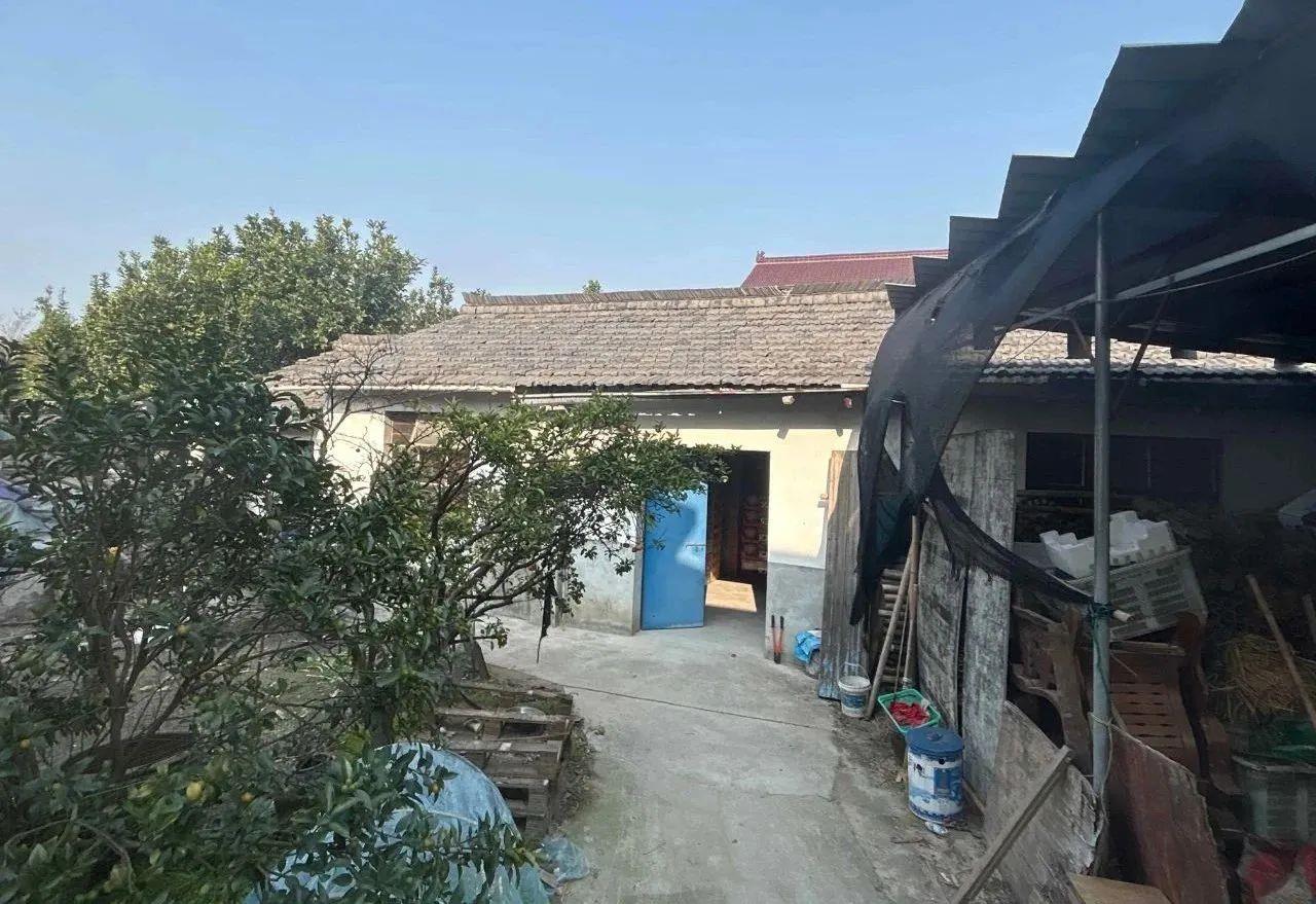 朋友圈售賣煙花爆竹？小心違法！