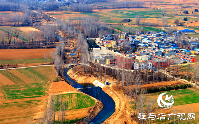 泌陽縣黃山口鄉(xiāng)：走穩(wěn)小麥“田管棋”，繪就夏收好“豐”景