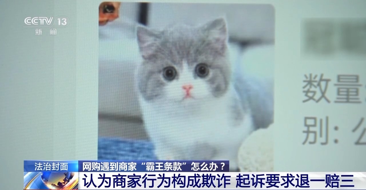 下單不退換、簽收即認(rèn)可 網(wǎng)購遇“霸王條款”怎么辦？