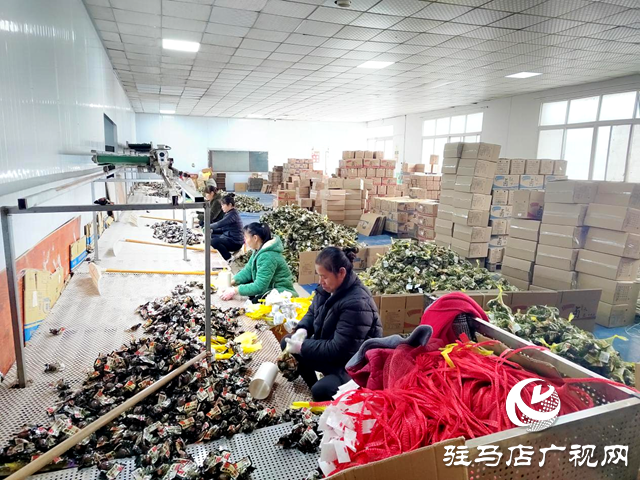 確山縣雙河鎮(zhèn)：產(chǎn)銷(xiāo)兩旺助力企業(yè)做大做強(qiáng)