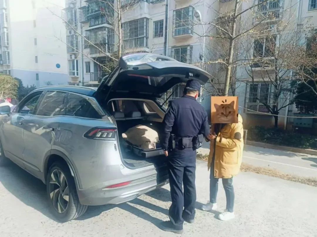 “網(wǎng)約車送現(xiàn)金”可修復數(shù)據(jù)返現(xiàn)？“這群里除了你，都是托！”
