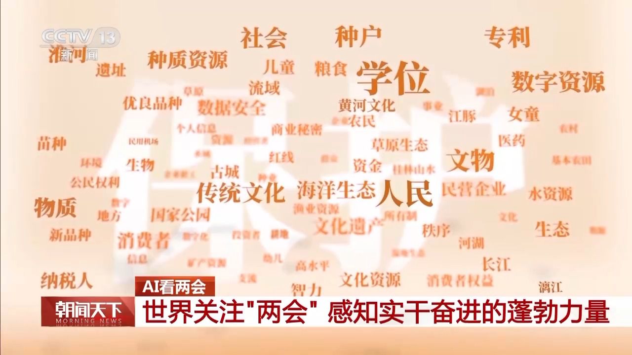 協(xié)商、調(diào)研、服務(wù)……AI帶你了解兩會(huì)高頻詞都有哪些