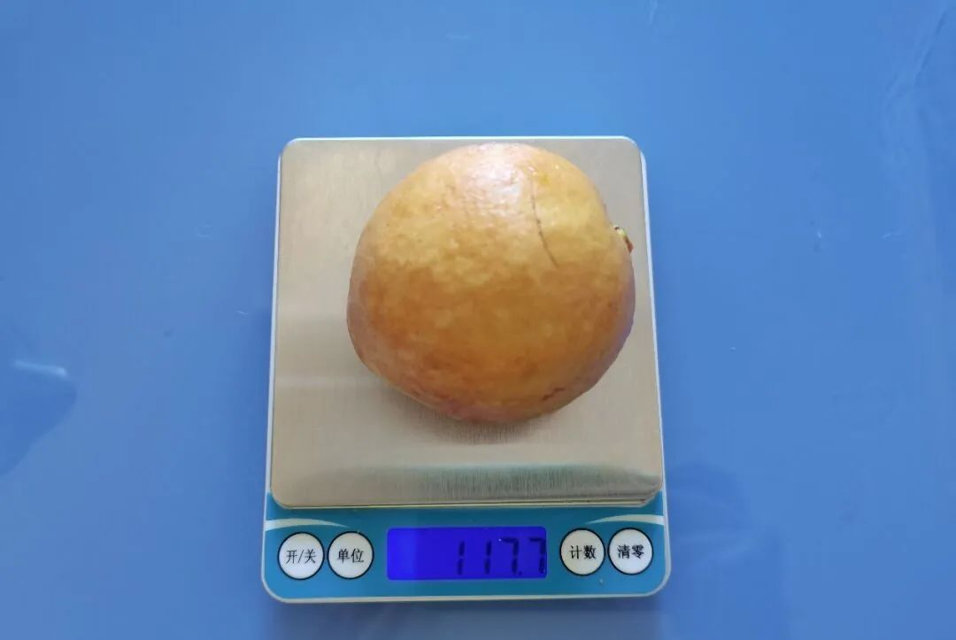 這種水果維C比蘋果高21倍，春天吃正好！