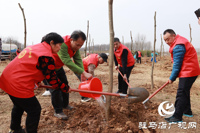 驛城區(qū)身邊好人協(xié)會(huì)組織開(kāi)展義務(wù)植樹(shù)活動(dòng)