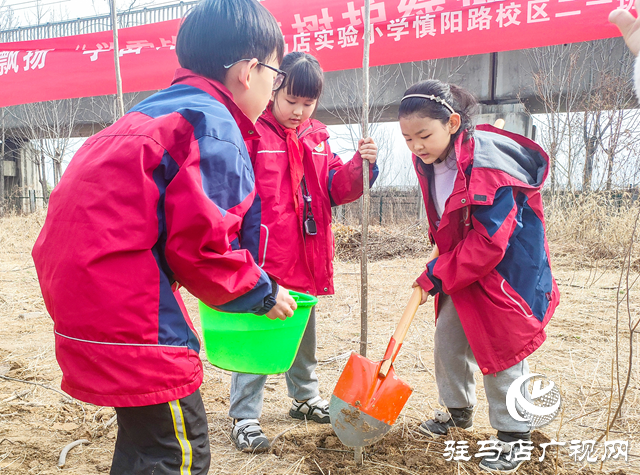 駐馬店實(shí)驗(yàn)小學(xué)開(kāi)展學(xué)雷鋒志愿植樹(shù)活動(dòng)