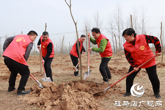 驛城區(qū)身邊好人協(xié)會(huì)組織開(kāi)展義務(wù)植樹(shù)活動(dòng)