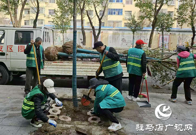 駐馬店經(jīng)濟開發(fā)區(qū)城市管理局：“植”此青綠繪新篇