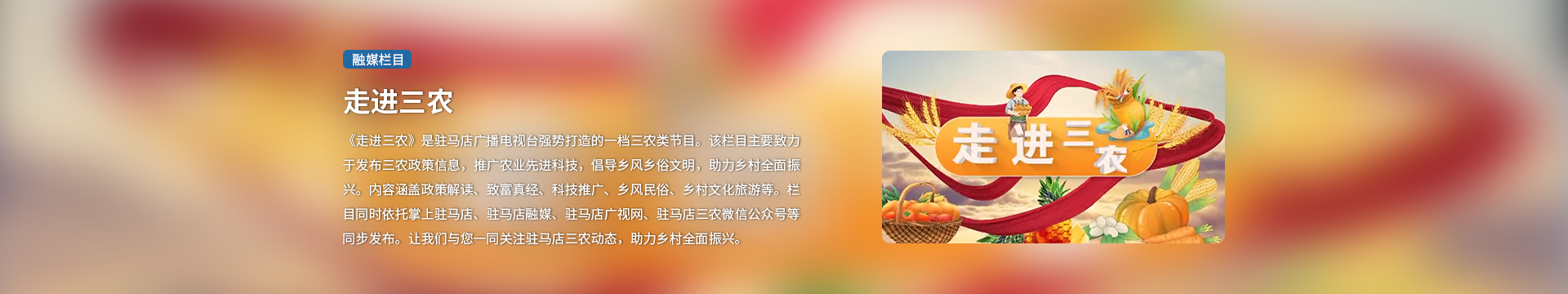 走進三農(nóng)