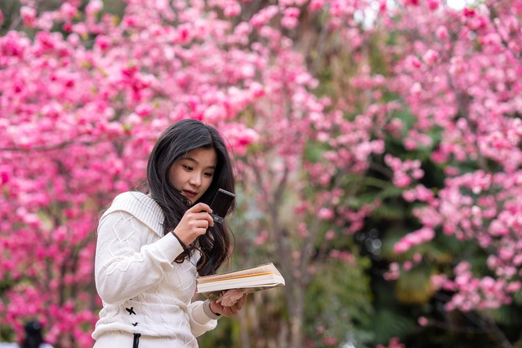接下來(lái)這半個(gè)多月，這些地方會(huì)很美！