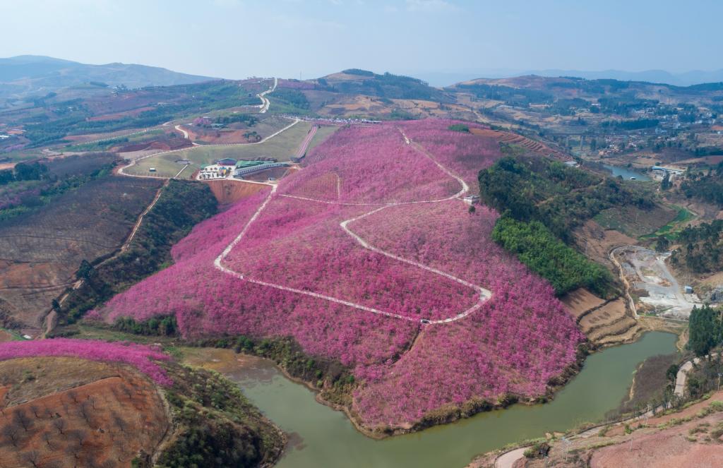 接下來(lái)這半個(gè)多月，這些地方會(huì)很美！