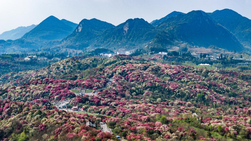 接下來(lái)這半個(gè)多月，這些地方會(huì)很美！
