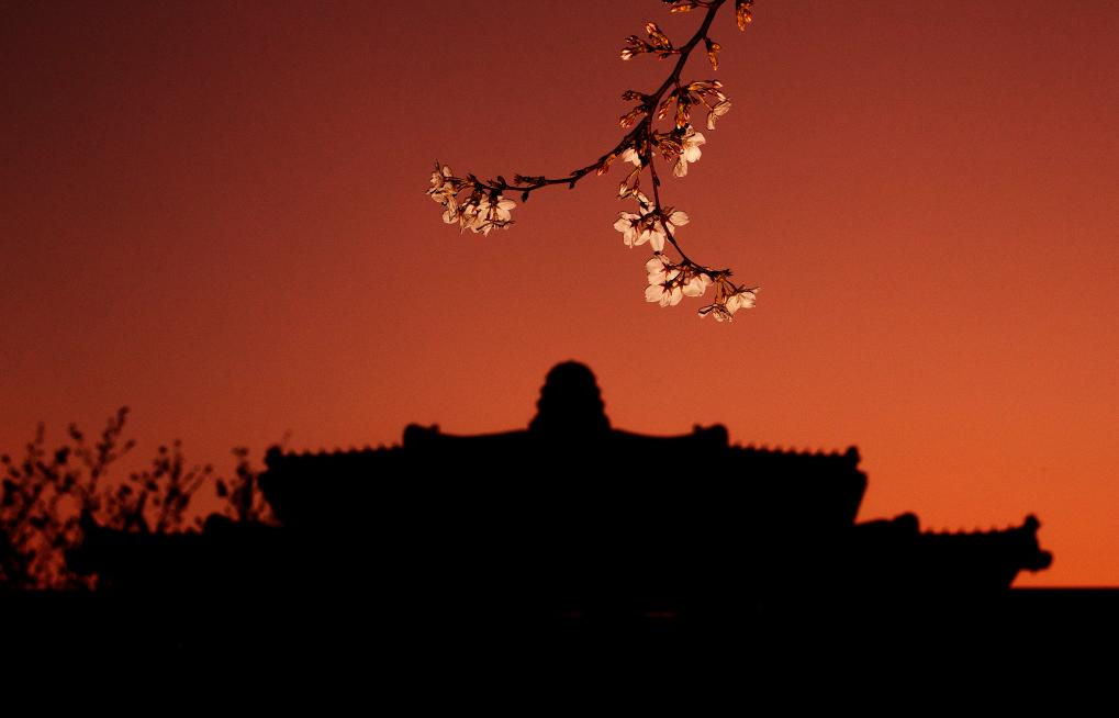 接下來(lái)這半個(gè)多月，這些地方會(huì)很美！