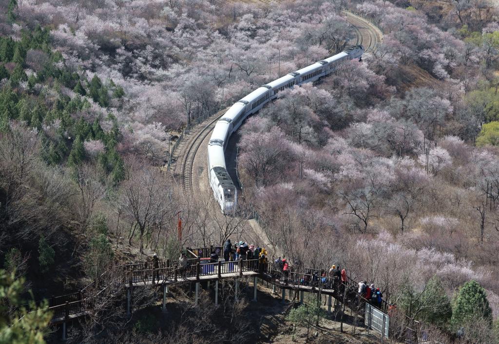 接下來(lái)這半個(gè)多月，這些地方會(huì)很美！