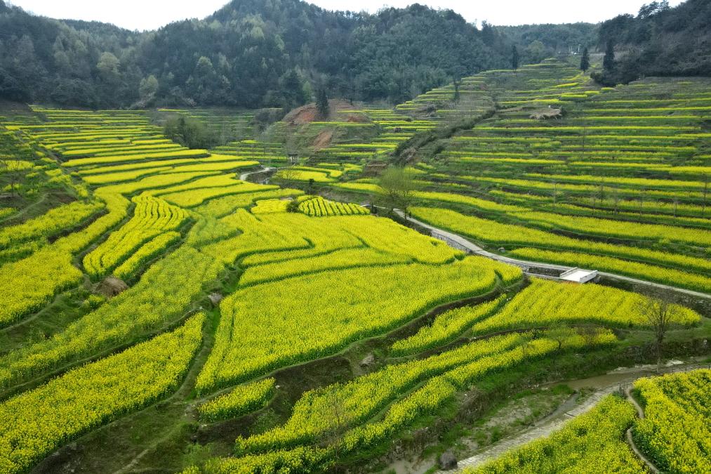 接下來(lái)這半個(gè)多月，這些地方會(huì)很美！