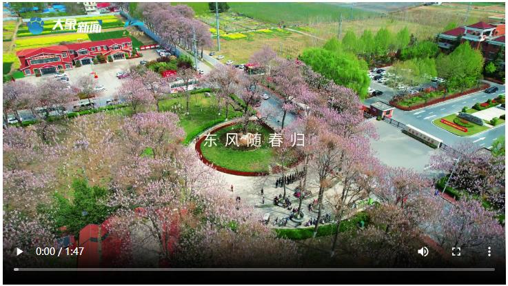 縣域治理“三起來”的蘭考實踐