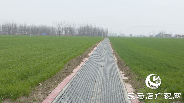 正陽縣：推進高標準農(nóng)田建設(shè) 促進農(nóng)業(yè)增產(chǎn)增收