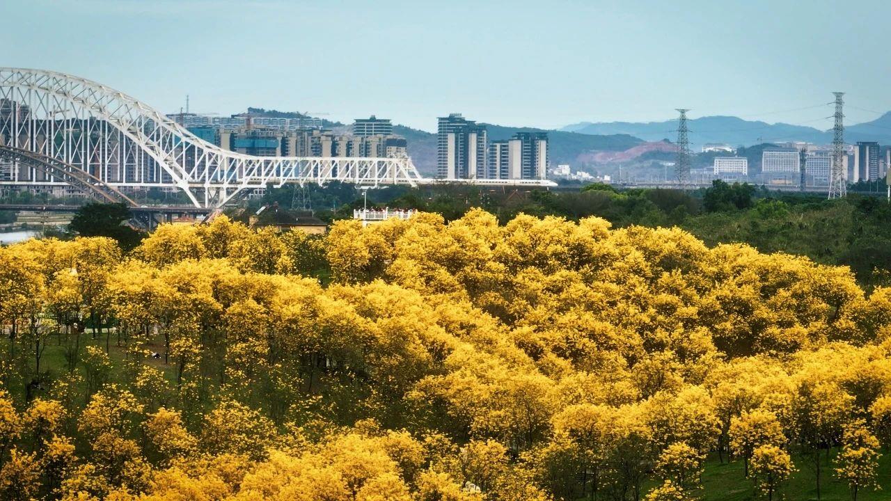 春意漸濃，這條高鐵沿線的寶藏城市“藏不住”了！