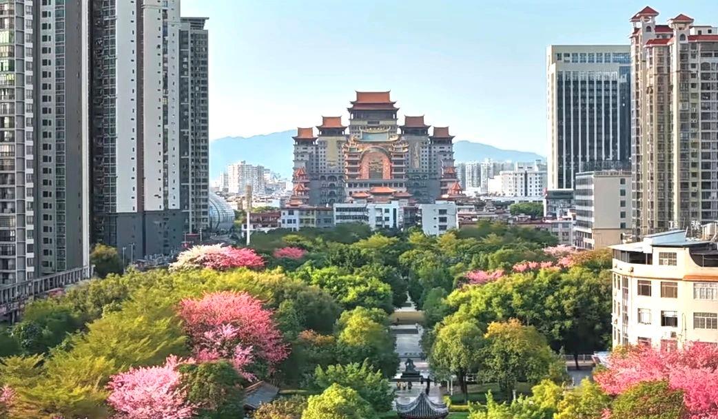 春意漸濃，這條高鐵沿線的寶藏城市“藏不住”了！
