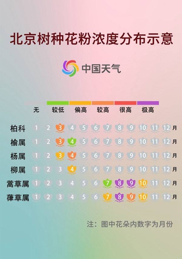 前方噴嚏警告！又到花粉過敏季，四招教你有效預(yù)防