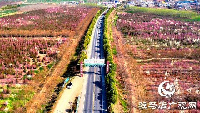  正陽縣陡溝鎮(zhèn)：玉蘭綻放迎客來