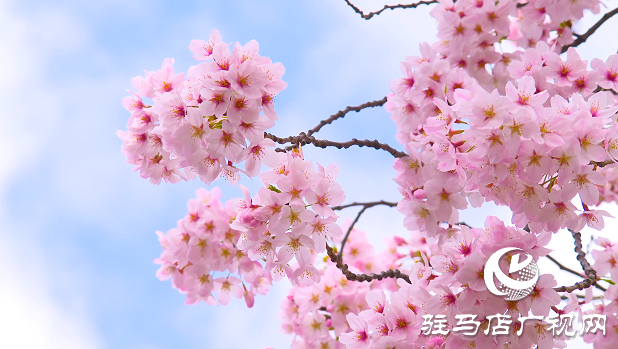 今日春分