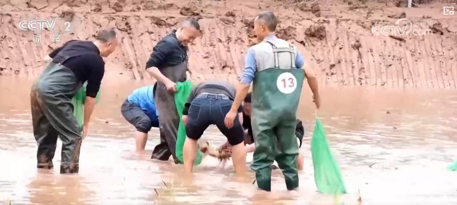 以“花”為媒、以“旅”促農 勾勒鄉(xiāng)村振興新圖景