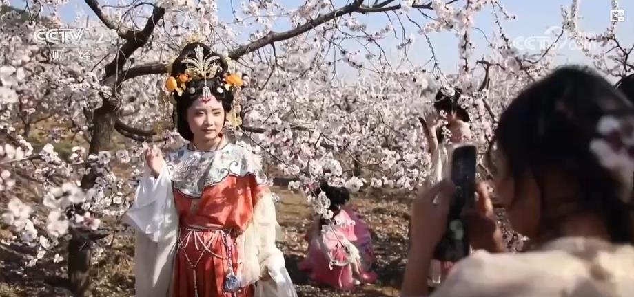 以“花”為媒、以“旅”促農 勾勒鄉(xiāng)村振興新圖景
