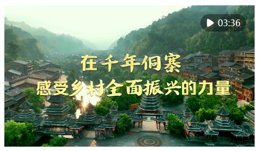 時(shí)政Vlog｜在千年侗寨，感受鄉(xiāng)村全面振興的力量