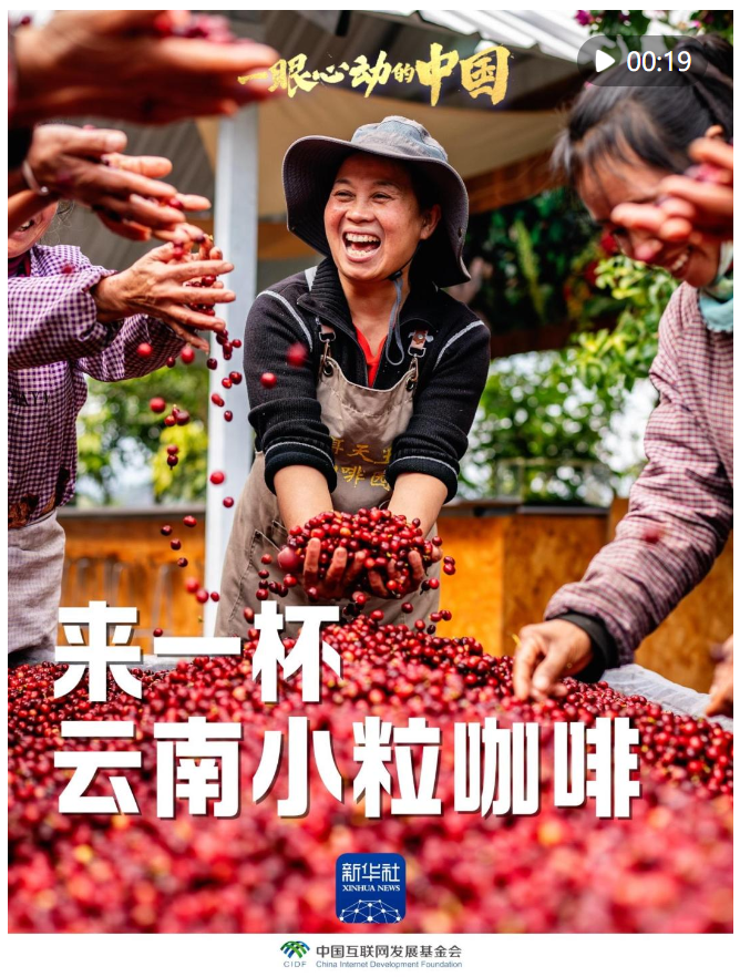 一眼心動(dòng)的中國(guó)｜來(lái)一杯云南小?？Х? width=