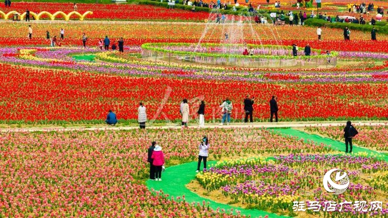【邀您打卡】3月22日，嵖岈山郁金香園盛大啟幕