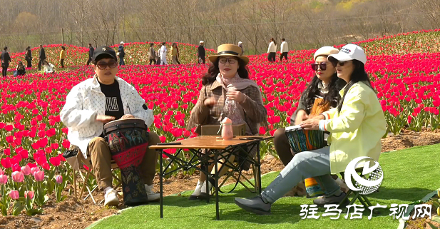 【邀您打卡】3月22日，嵖岈山郁金香園盛大啟幕