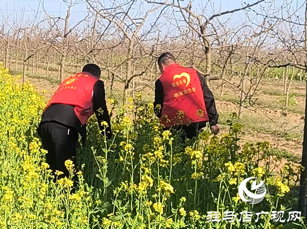 平輿縣李屯鎮(zhèn)：春季踏查守凈土 禁種鏟毒正當(dāng)時(shí)