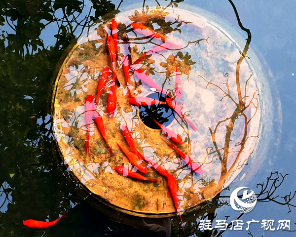 蝶變?nèi)碎g春滿園