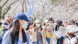 跟團(tuán)旅游回程沒(méi)票，要不要付尾款