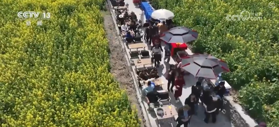 春賞花、夏榨油、秋收糧 “賞花+”扮“靚”經(jīng)濟新增長點
