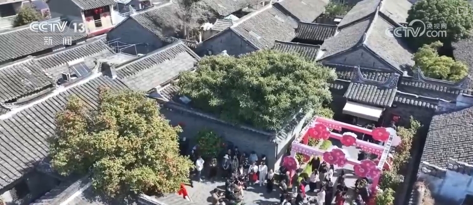 春賞花、夏榨油、秋收糧 “賞花+”扮“靚”經(jīng)濟新增長點