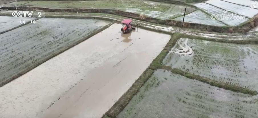 各地因地制宜搶抓春耕備耕 夯實糧食豐收基礎(chǔ)