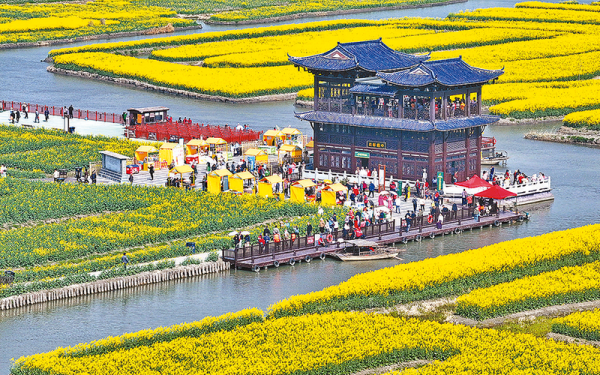 千垛花開迎客來