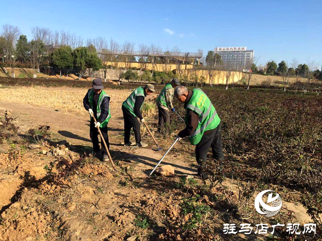 確山縣住建局：春季綠化養(yǎng)護(hù)忙，不負(fù)春景好時(shí)光