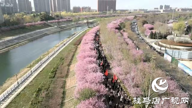 西平縣舉辦2025年“移風(fēng)易俗樹(shù)新風(fēng) 全民健身享健康”萬(wàn)步有約全民健身健步走活動(dòng)