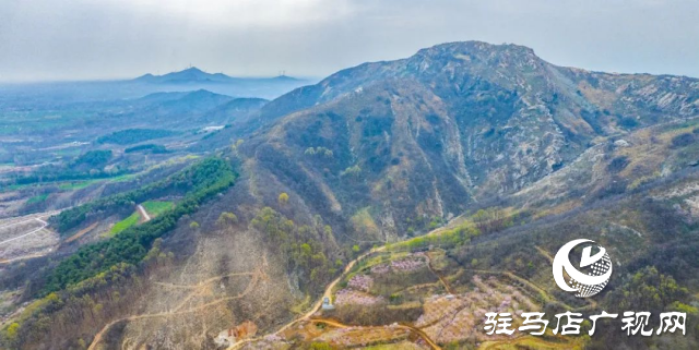 確山：看螞蟻山花海梯田