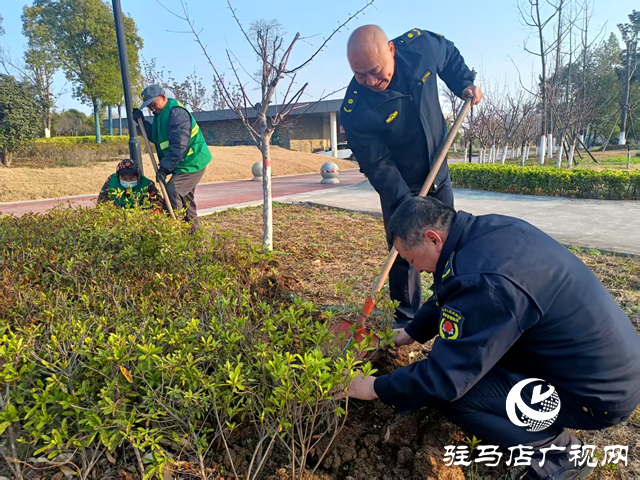 確山縣住建局：春季綠化養(yǎng)護(hù)忙，不負(fù)春景好時(shí)光