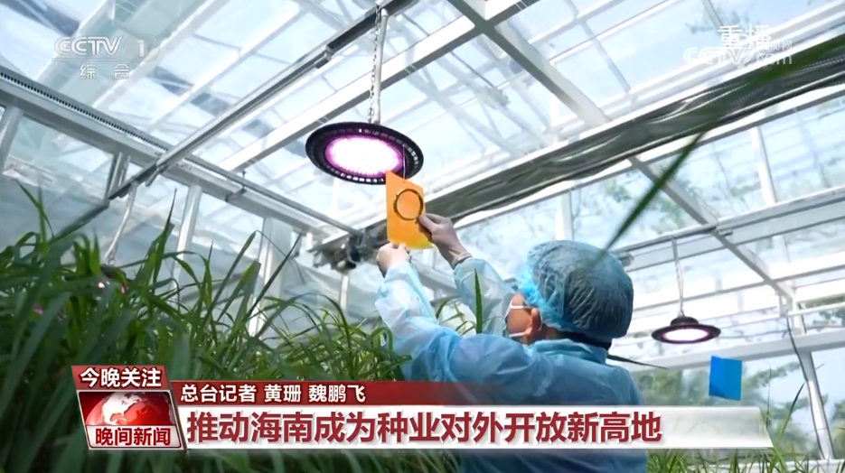 黑紫色玉米、棕色秋葵……你見過的、沒見過的瓜果蔬菜這都有！